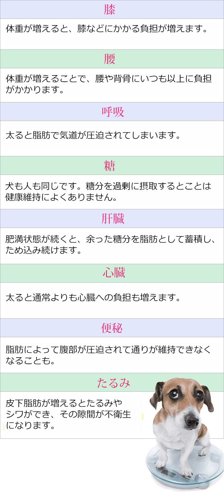 減量が必要なワンちゃんの為の療法食 満腹感サポートの販売 通販 獣医師 宿南章の愛情ごはん療法食