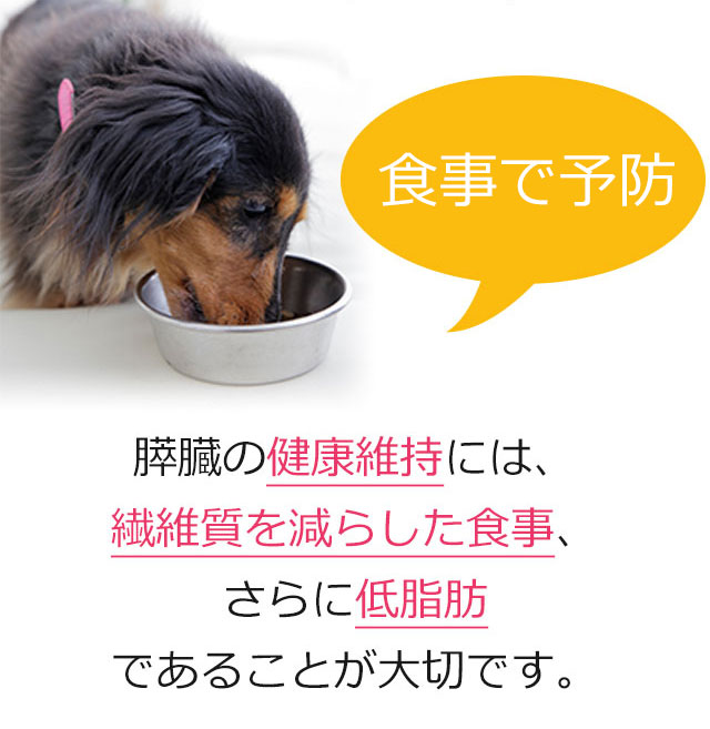 獣医師 宿南章開発 犬用療法食 膵臓サポート の販売 通販